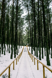 Similar image 22256381