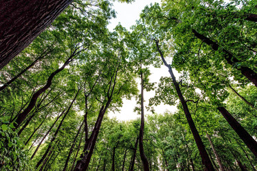 Similar image 22256382