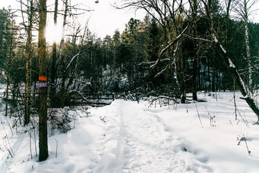 Similar image 22256383