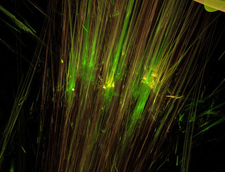 Similar image 22269438