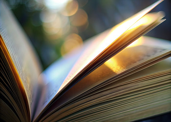 Similar image 22258889