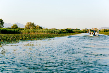 Similar image 22256097