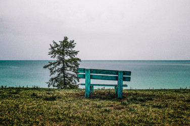 Similar image 22256113