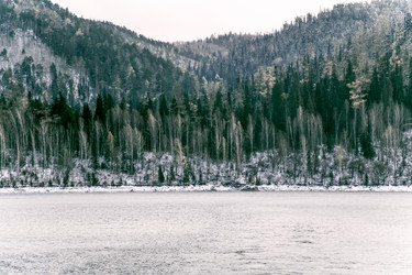 Similar image 22256387