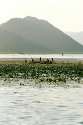 Similar image 22256390