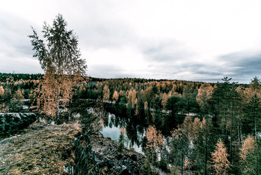 Similar image 22256397