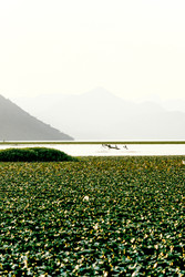 Similar image 22256398