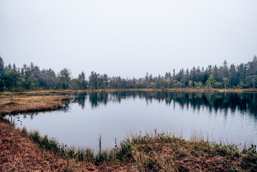 Similar image 22256405