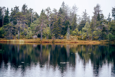 Similar image 22256407