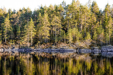 Similar image 22256408