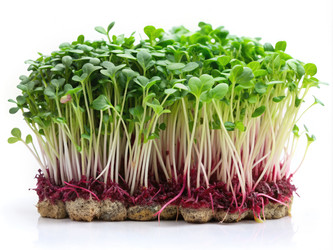 Similar image 22252500