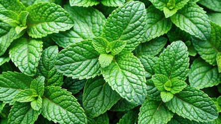 Similar image 22252508