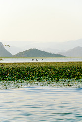 Similar image 22267357