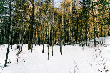 Similar image 22267359