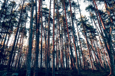 Similar image 22267361