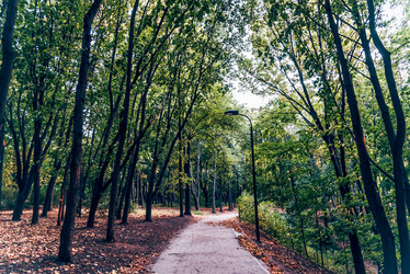 Similar image 22267364