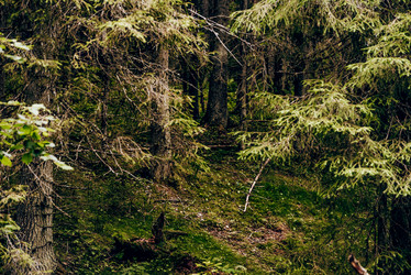 Similar image 22267365