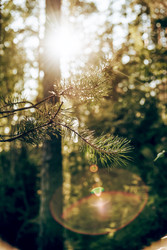 Similar image 22267368