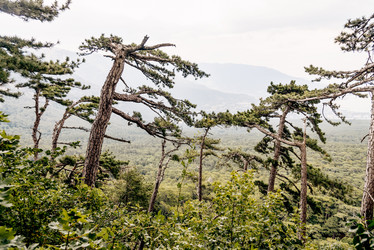 Similar image 22267369