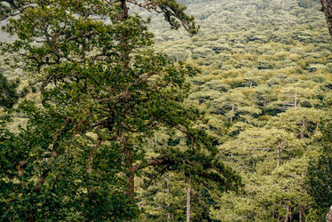 Similar image 22267370