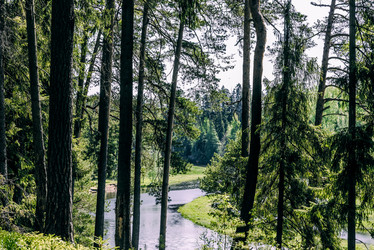 Similar image 22267373