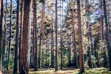 Similar image 22267376