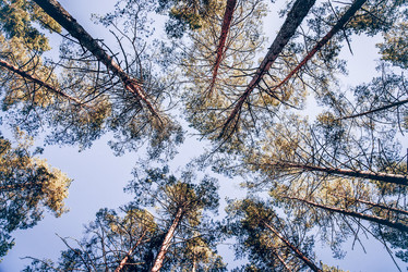 Similar image 22267377