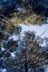 Similar image 22267378