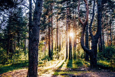 Similar image 22267379