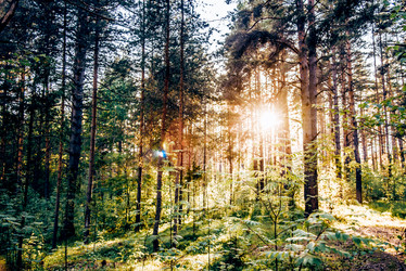 Similar image 22267380