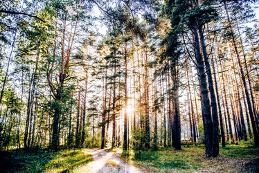 Similar image 22267381