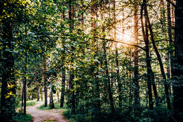 Similar image 22267382