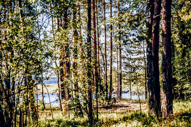 Similar image 22267383