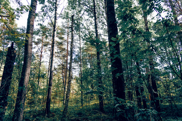 Similar image 22267384