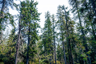 Similar image 22267386