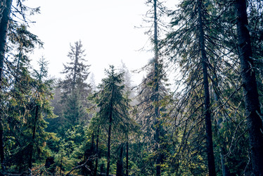 Similar image 22267387