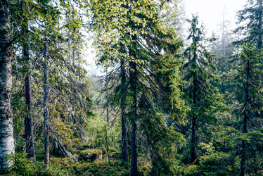 Similar image 22267388