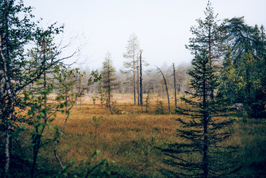 Similar image 22267389