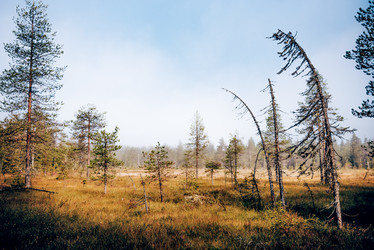 Similar image 22267390