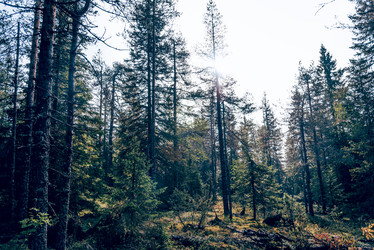 Similar image 22267391