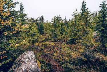 Similar image 22267394