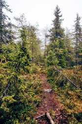 Similar image 22267395