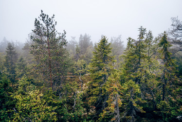 Similar image 22267397