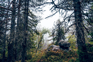 Similar image 22267439