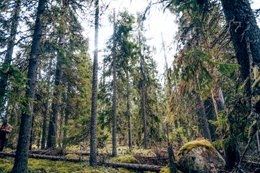 Similar image 22267440