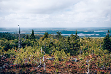 Similar image 22267561