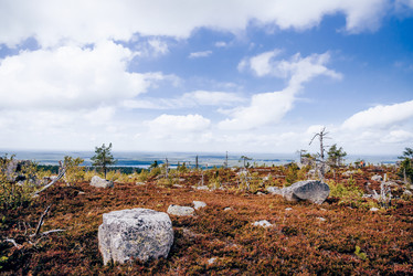 Similar image 22267562