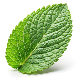 Similar image 22252901