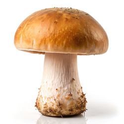 Similar image 22252363