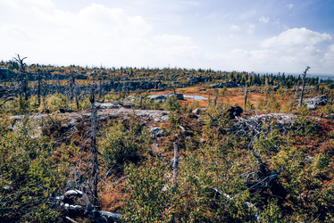 Similar image 22266755